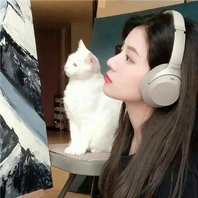侠客无名